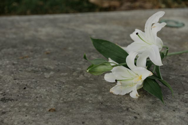 cremation services Anaheim, CA